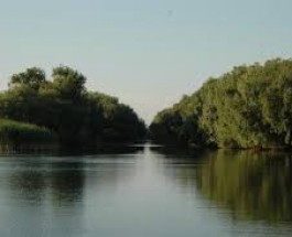 Sa ne cunoastem tara: Delta Dunarii